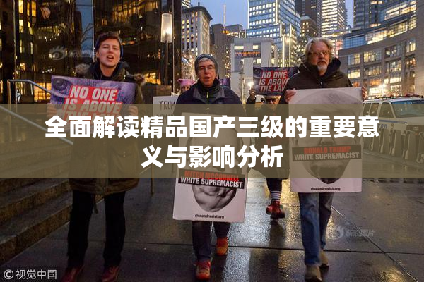 全面解读精品国产三级的重要意义与影响分析