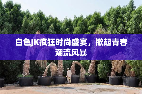 白色JK疯狂时尚盛宴，掀起青春潮流风暴