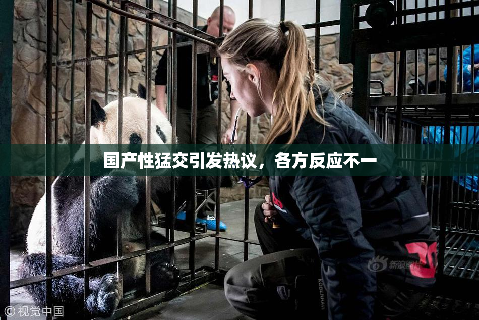 国产性猛交引发热议，各方反应不一