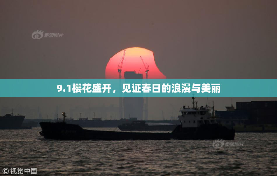 9.1樱花盛开，见证春日的浪漫与美丽