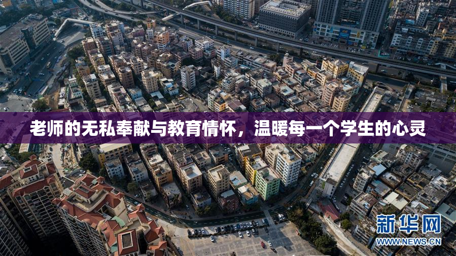 老师的无私奉献与教育情怀，温暖每一个学生的心灵