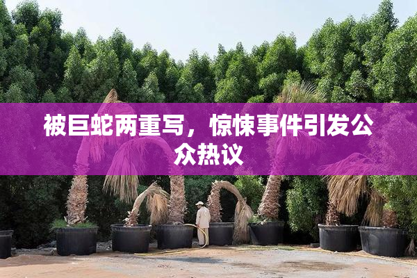 被巨蛇两重写，惊悚事件引发公众热议