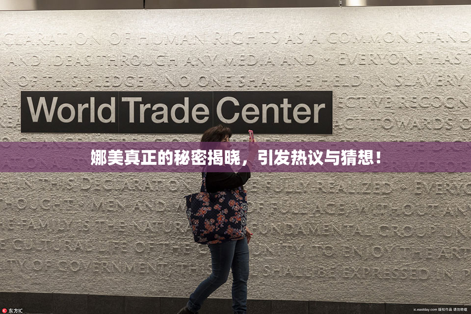 娜美真正的秘密揭晓，引发热议与猜想！