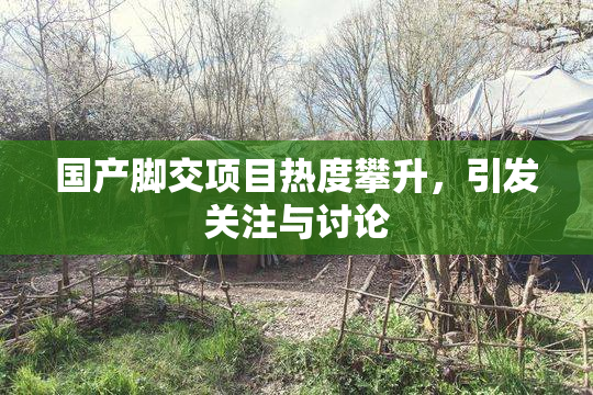 国产脚交项目热度攀升，引发关注与讨论