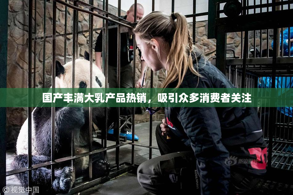 国产丰满大乳产品热销，吸引众多消费者关注