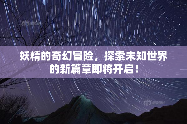 妖精的奇幻冒险，探索未知世界的新篇章即将开启！
