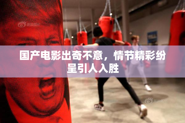 国产电影出奇不意，情节精彩纷呈引人入胜