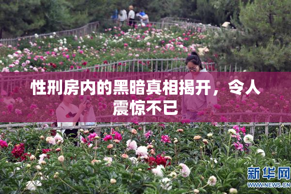 性刑房内的黑暗真相揭开，令人震惊不已