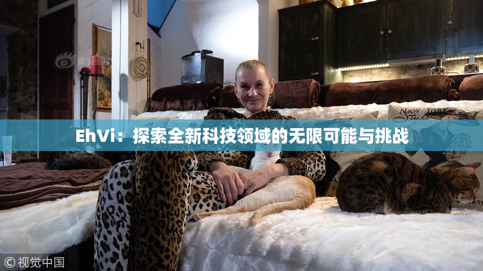 EhVi：探索全新科技领域的无限可能与挑战