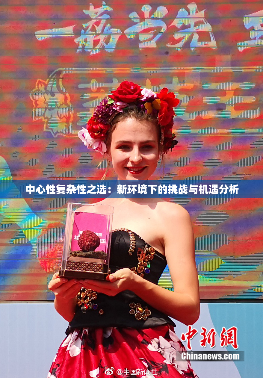 中心性复杂性之选：新环境下的挑战与机遇分析