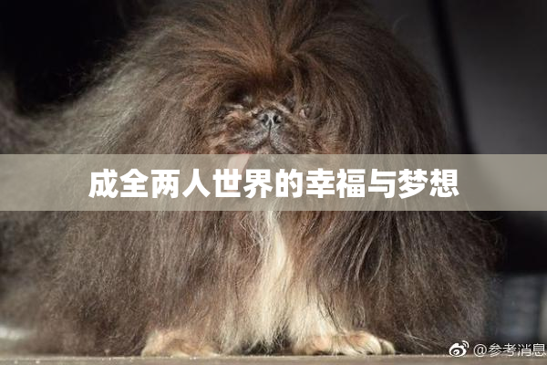 成全两人世界的幸福与梦想