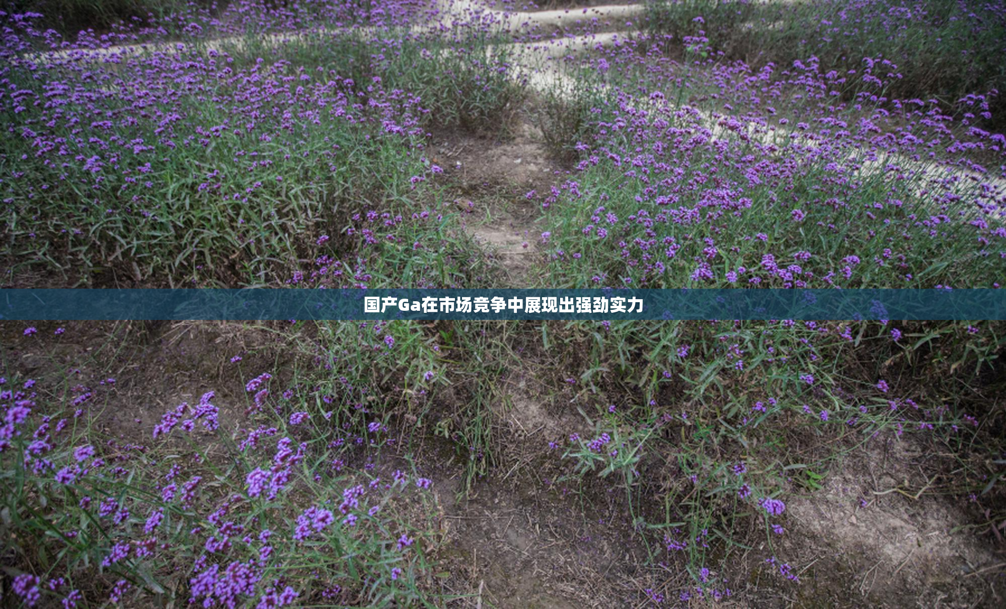 国产Ga在市场竞争中展现出强劲实力
