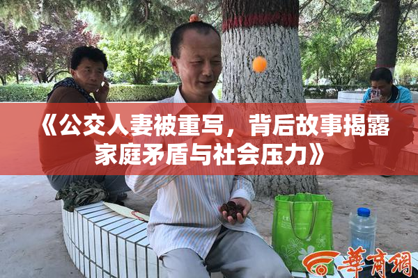 《公交人妻被重写，背后故事揭露家庭矛盾与社会压力》