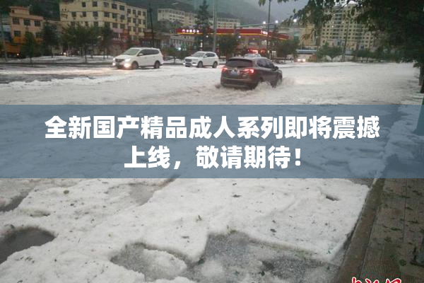 全新国产精品成人系列即将震撼上线，敬请期待！