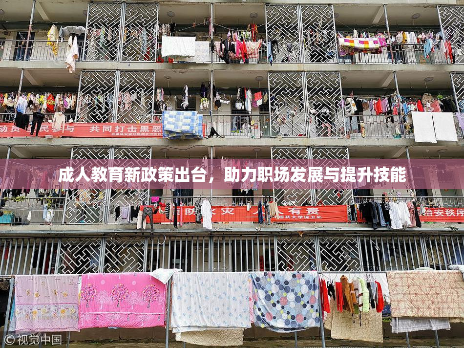 成人教育新政策出台，助力职场发展与提升技能