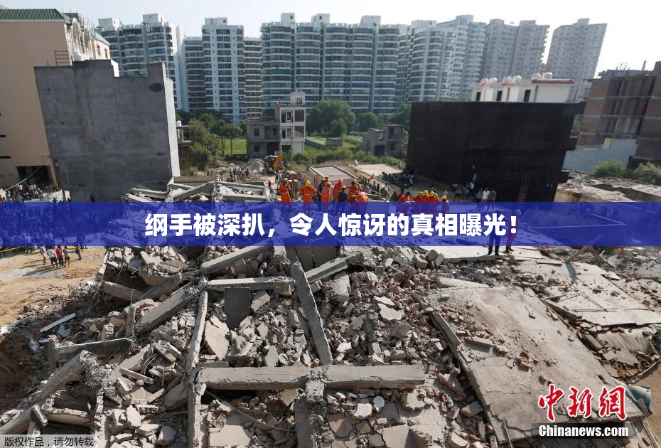 纲手被深扒，令人惊讶的真相曝光！