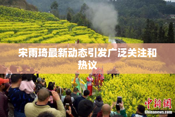 宋雨琦最新动态引发广泛关注和热议