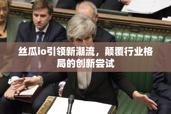 丝瓜io引领新潮流，颠覆行业格局的创新尝试
