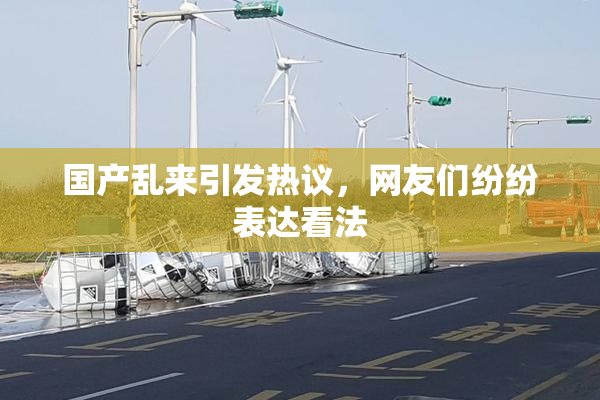 国产乱来引发热议，网友们纷纷表达看法