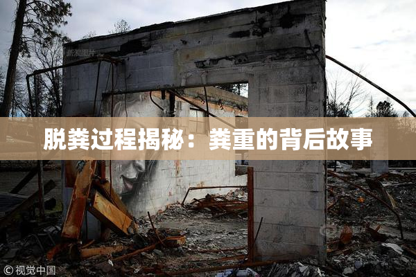 脱粪过程揭秘：粪重的背后故事