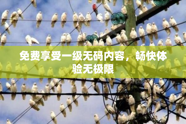 免费享受一级无码内容，畅快体验无极限