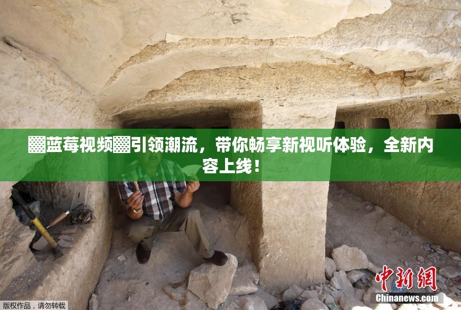 ▓蓝莓视频▓引领潮流，带你畅享新视听体验，全新内容上线！