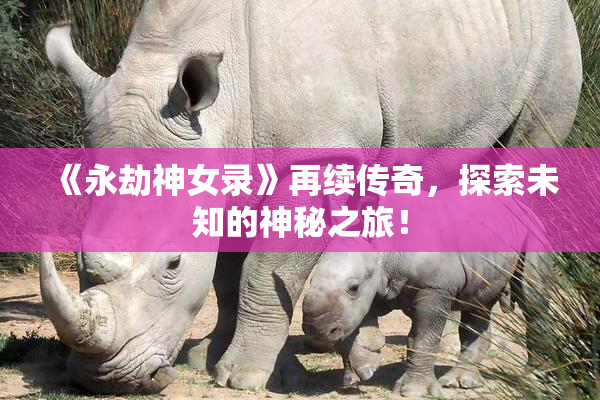 《永劫神女录》再续传奇，探索未知的神秘之旅！