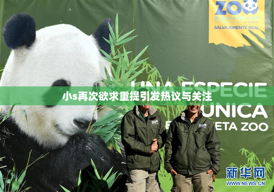 小s再次欲求重提引发热议与关注