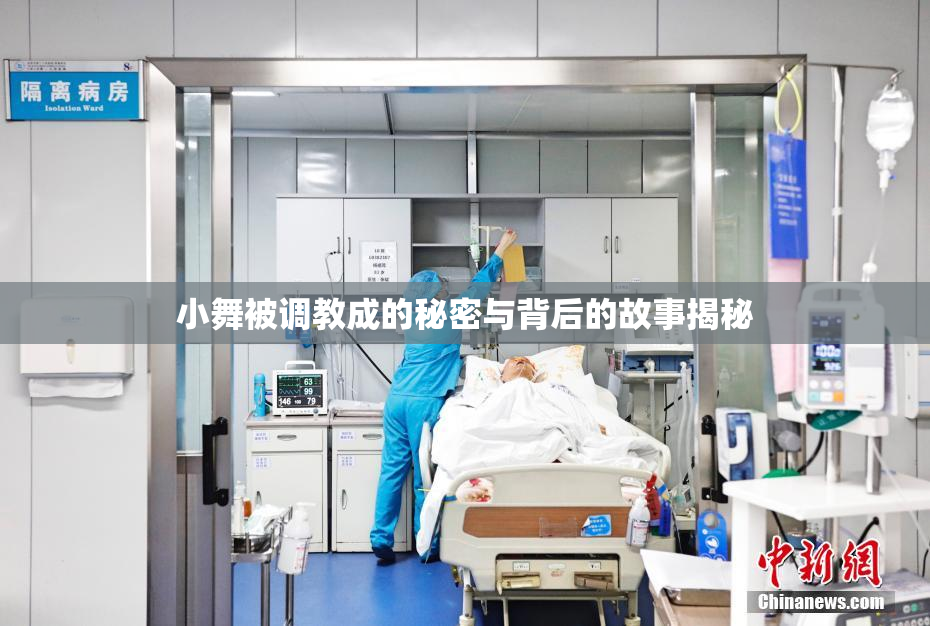 小舞被调教成的秘密与背后的故事揭秘