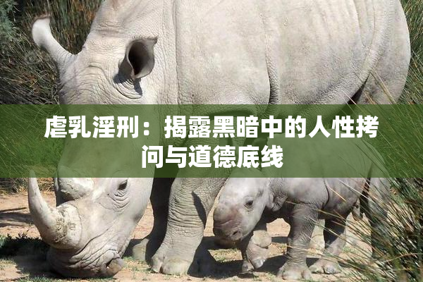 虐乳淫刑：揭露黑暗中的人性拷问与道德底线