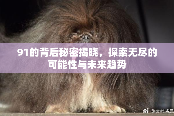 91的背后秘密揭晓，探索无尽的可能性与未来趋势