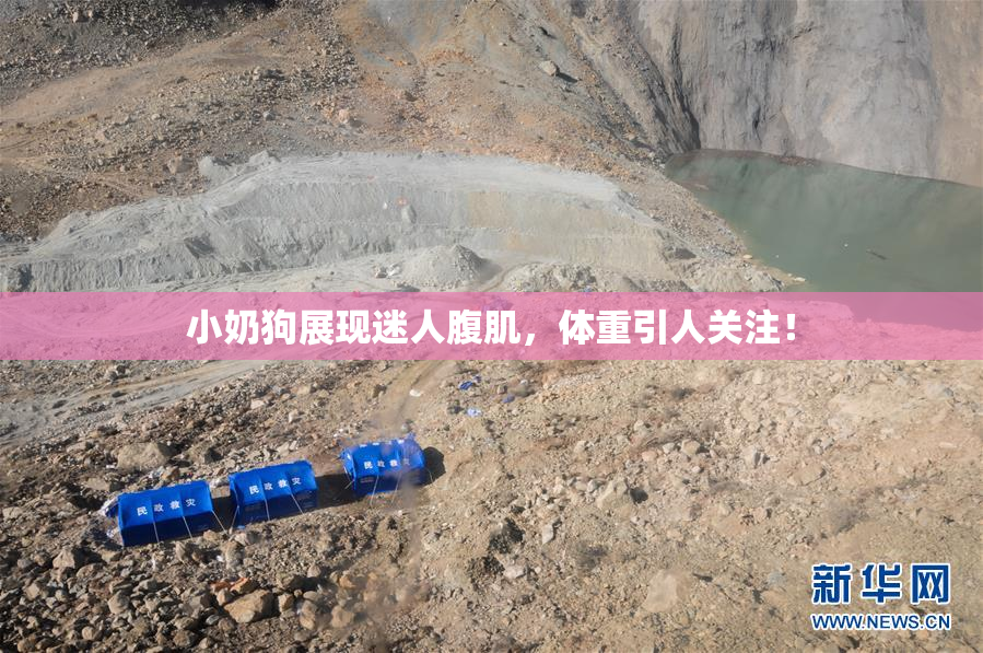 小奶狗展现迷人腹肌，体重引人关注！