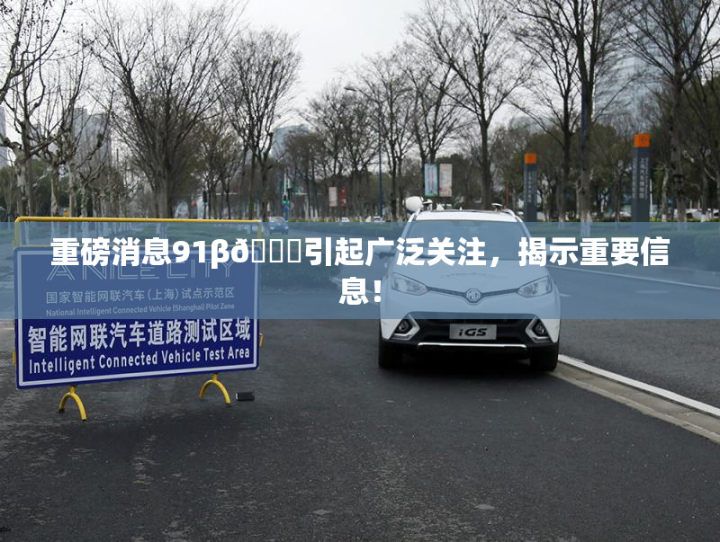重磅消息91β🍆引起广泛关注，揭示重要信息！