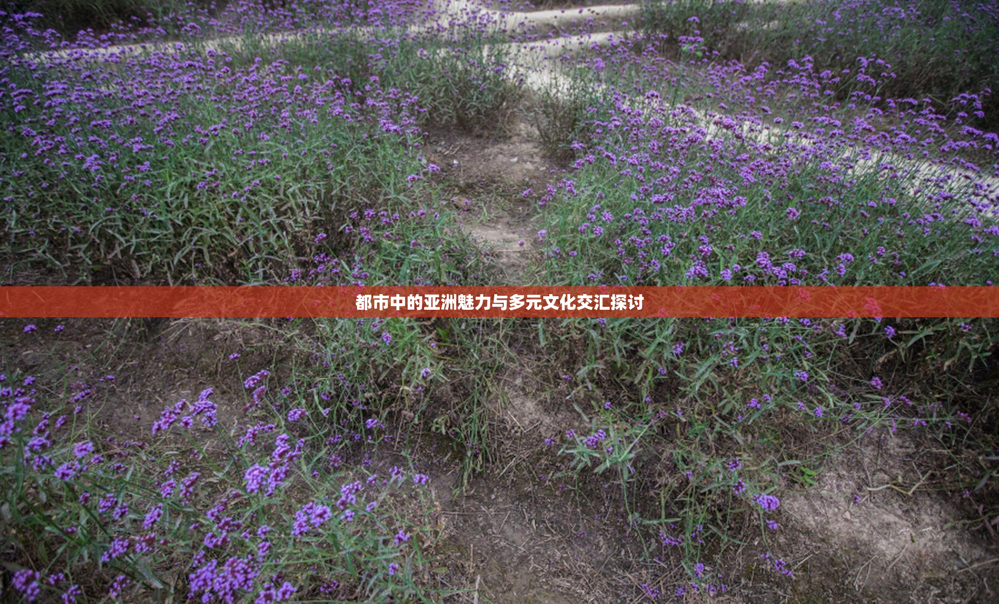 都市中的亚洲魅力与多元文化交汇探讨