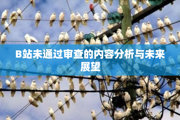 B站未通过审查的内容分析与未来展望