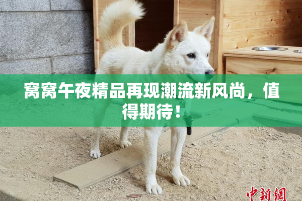 窝窝午夜精品再现潮流新风尚，值得期待！
