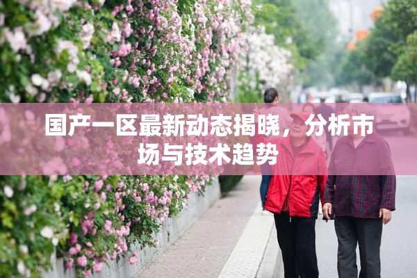 国产一区最新动态揭晓，分析市场与技术趋势