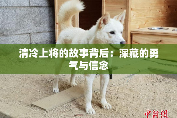 清冷上将的故事背后：深藏的勇气与信念