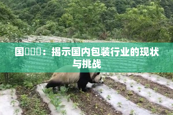 国產梱綁：揭示国内包装行业的现状与挑战