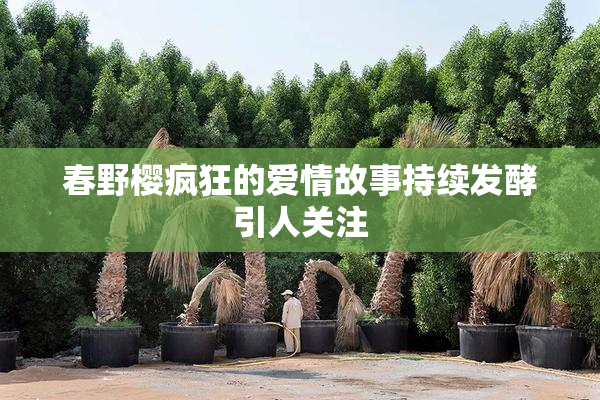 春野樱疯狂的爱情故事持续发酵引人关注