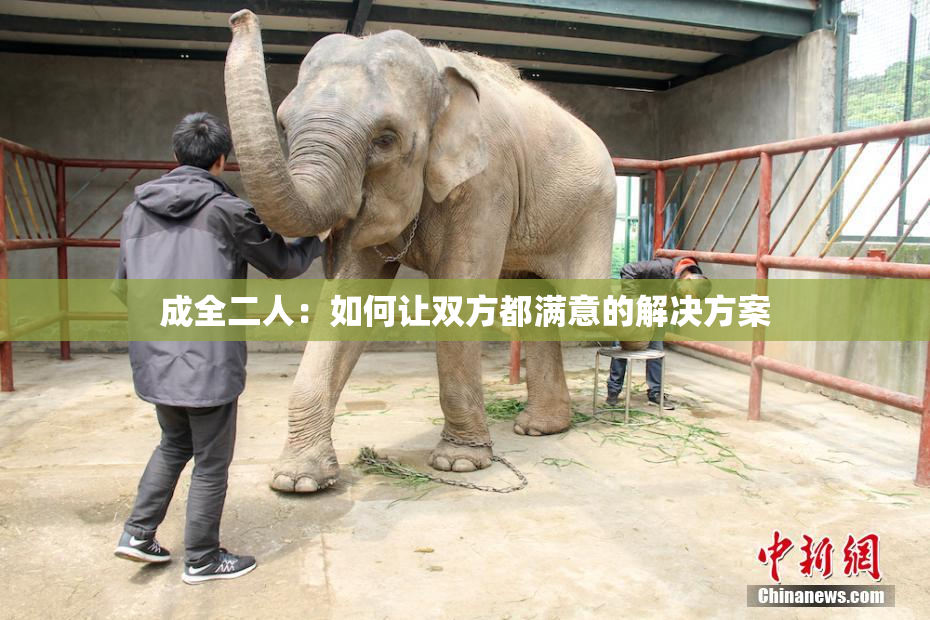 成全二人：如何让双方都满意的解决方案