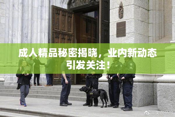 成人精品秘密揭晓，业内新动态引发关注！