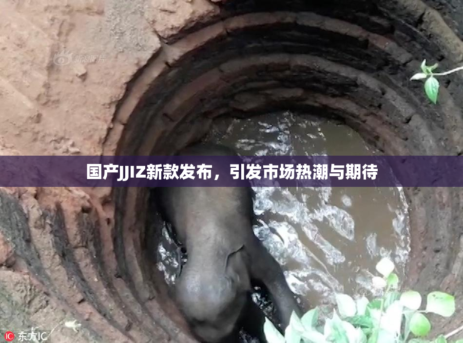 国产JJIZ新款发布，引发市场热潮与期待
