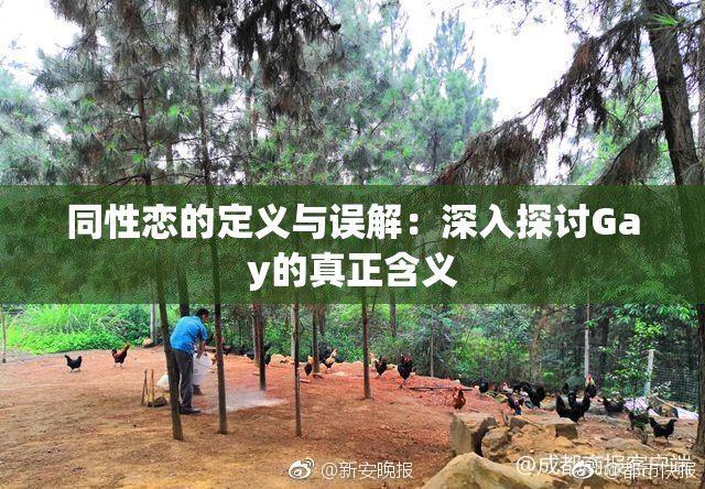 同性恋的定义与误解：深入探讨Gay的真正含义