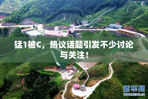 猛1被C，热议话题引发不少讨论与关注！