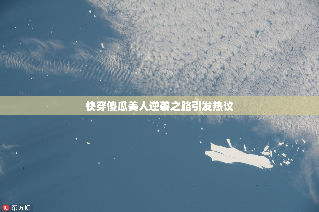 快穿傻瓜美人逆袭之路引发热议