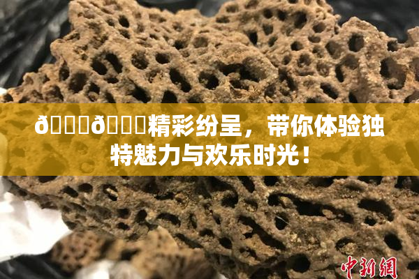 🐔🐔精彩纷呈，带你体验独特魅力与欢乐时光！