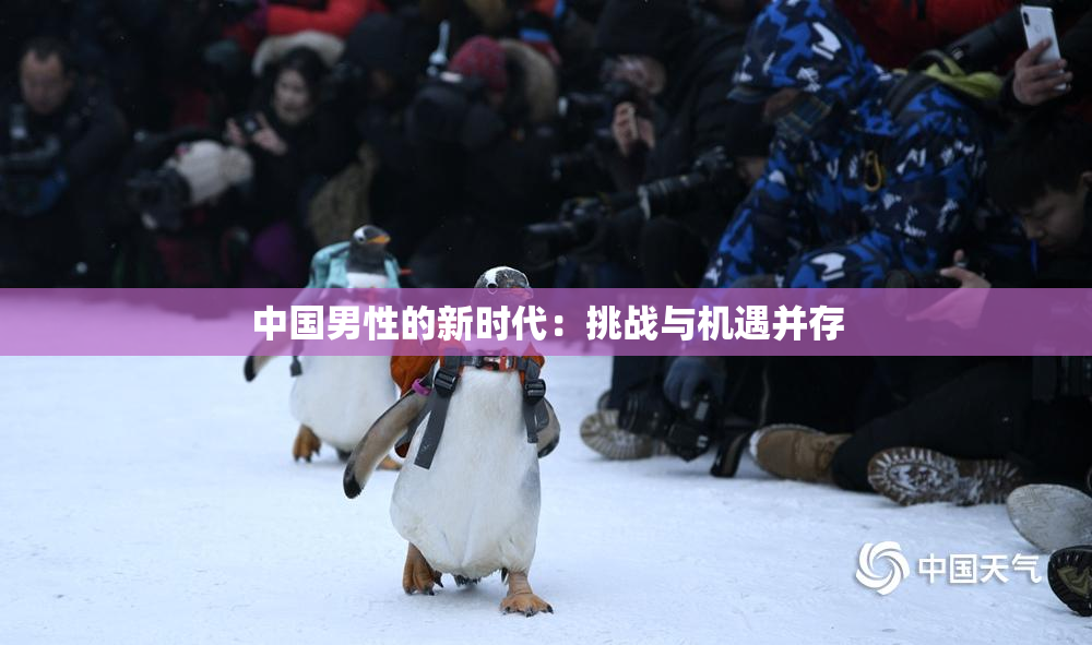 中国男性的新时代：挑战与机遇并存