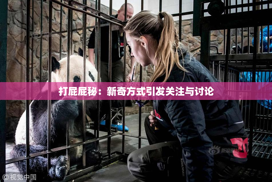 打屁屁秘：新奇方式引发关注与讨论