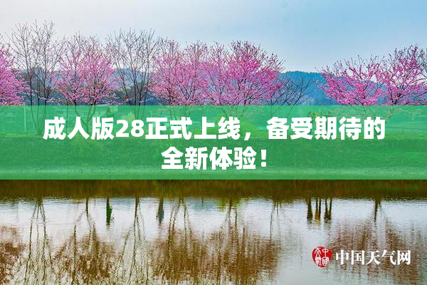 成人版28正式上线，备受期待的全新体验！